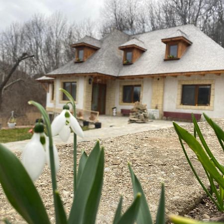 Casa Cu Sindrila Villa Valenii de Munte Bagian luar foto