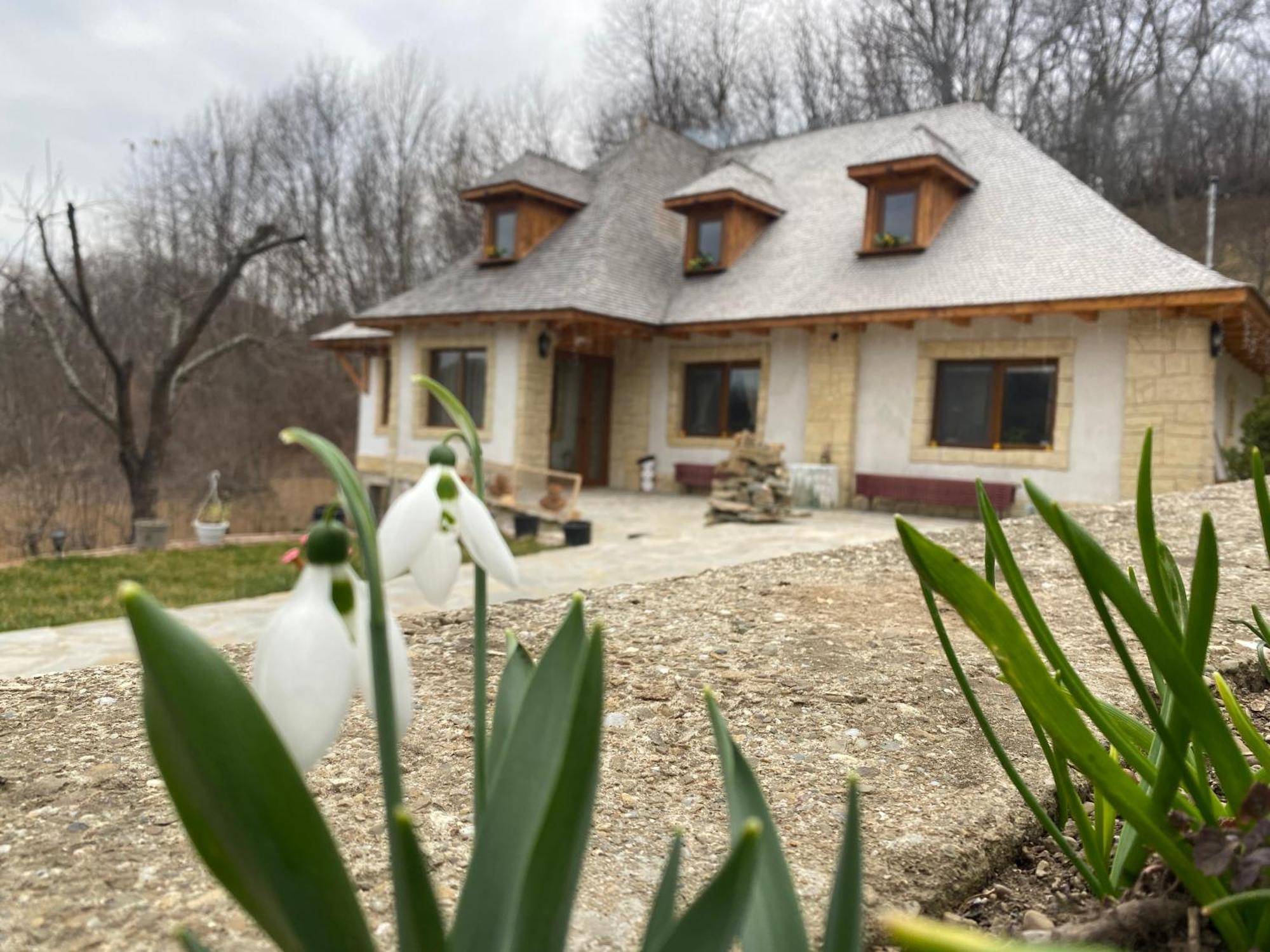 Casa Cu Sindrila Villa Valenii de Munte Bagian luar foto