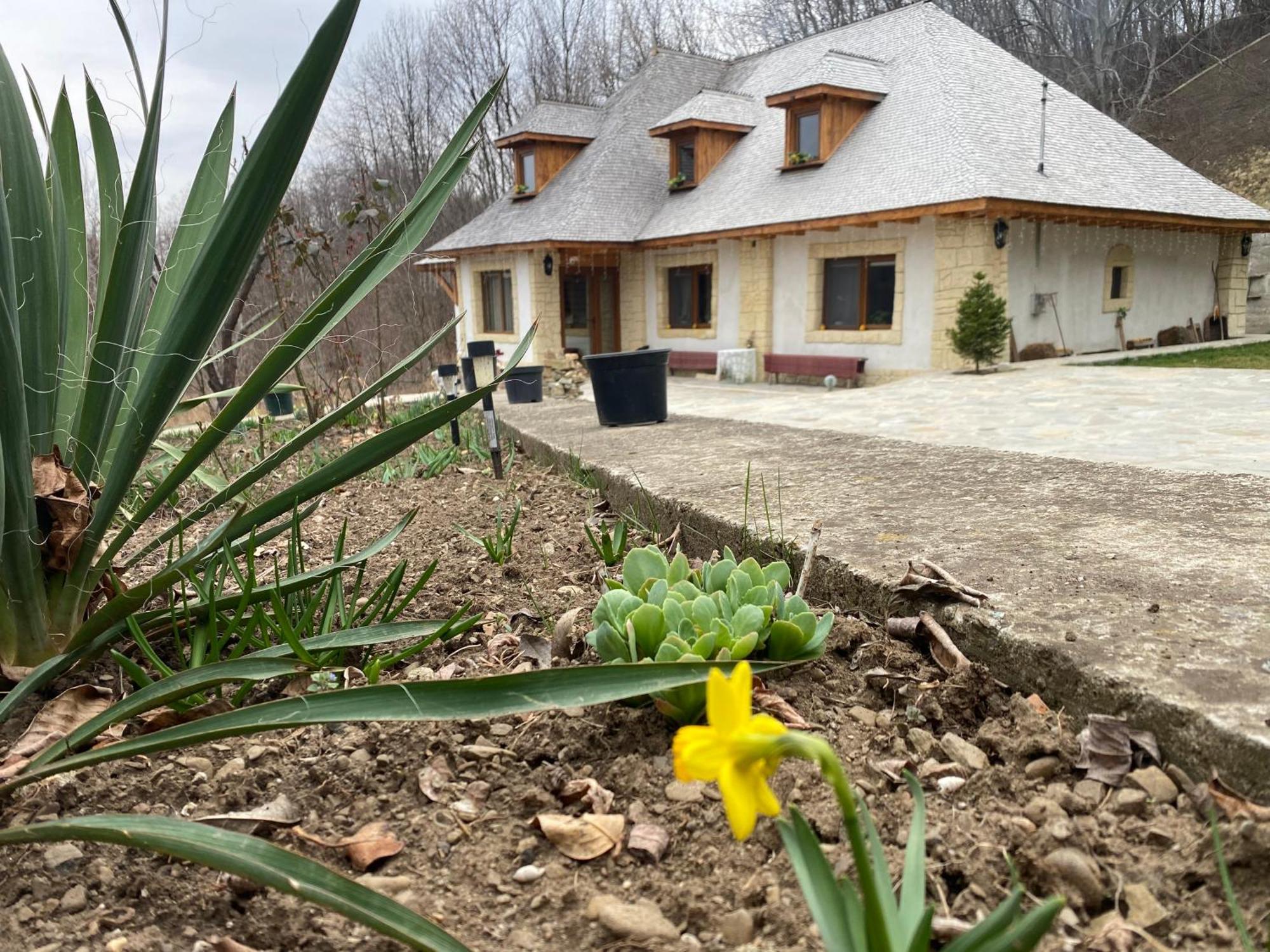 Casa Cu Sindrila Villa Valenii de Munte Bagian luar foto
