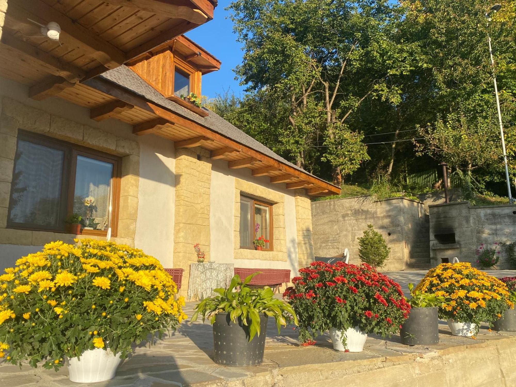 Casa Cu Sindrila Villa Valenii de Munte Bagian luar foto