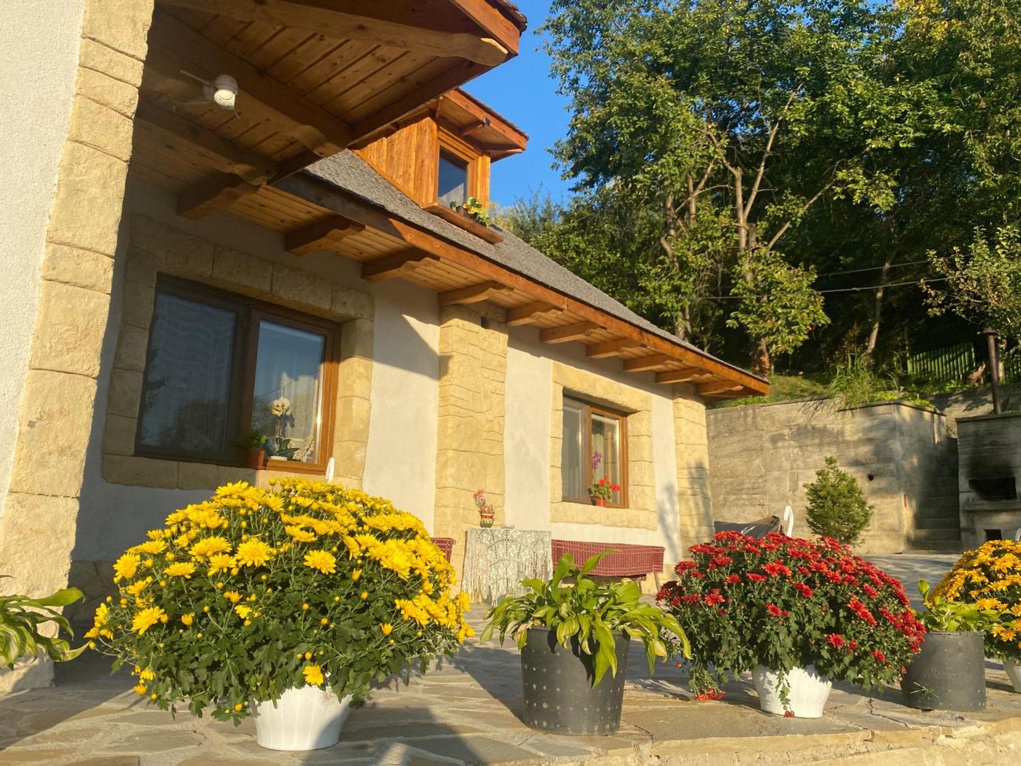 Casa Cu Sindrila Villa Valenii de Munte Bagian luar foto